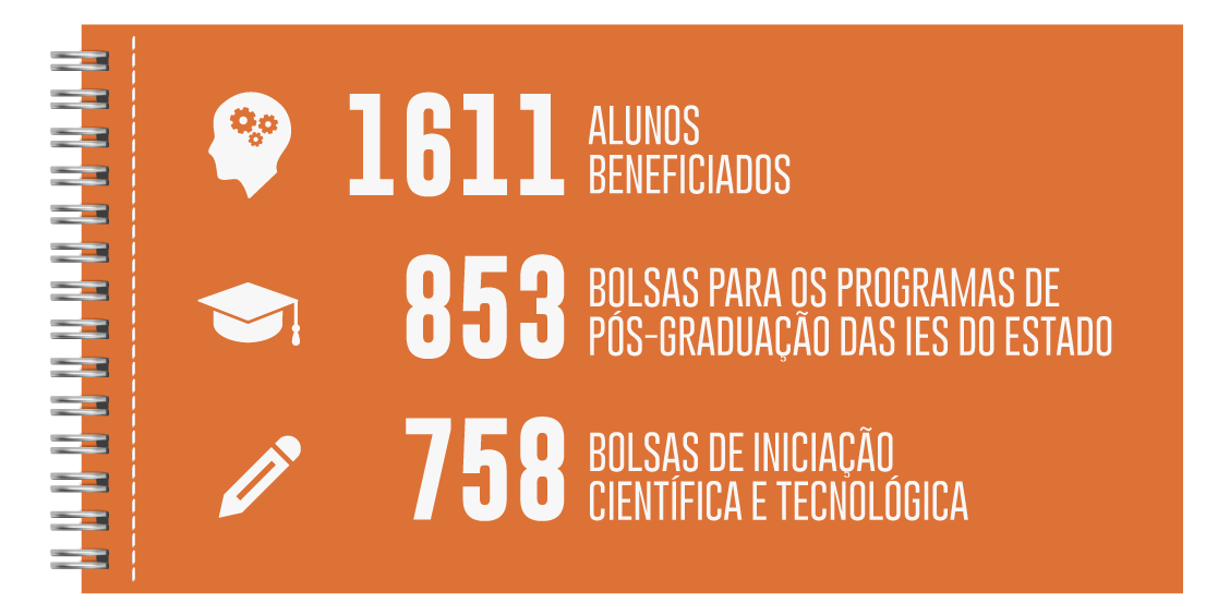 Infográfico com dados Educação Superior - Bolsas de graduação e pós-graduação.