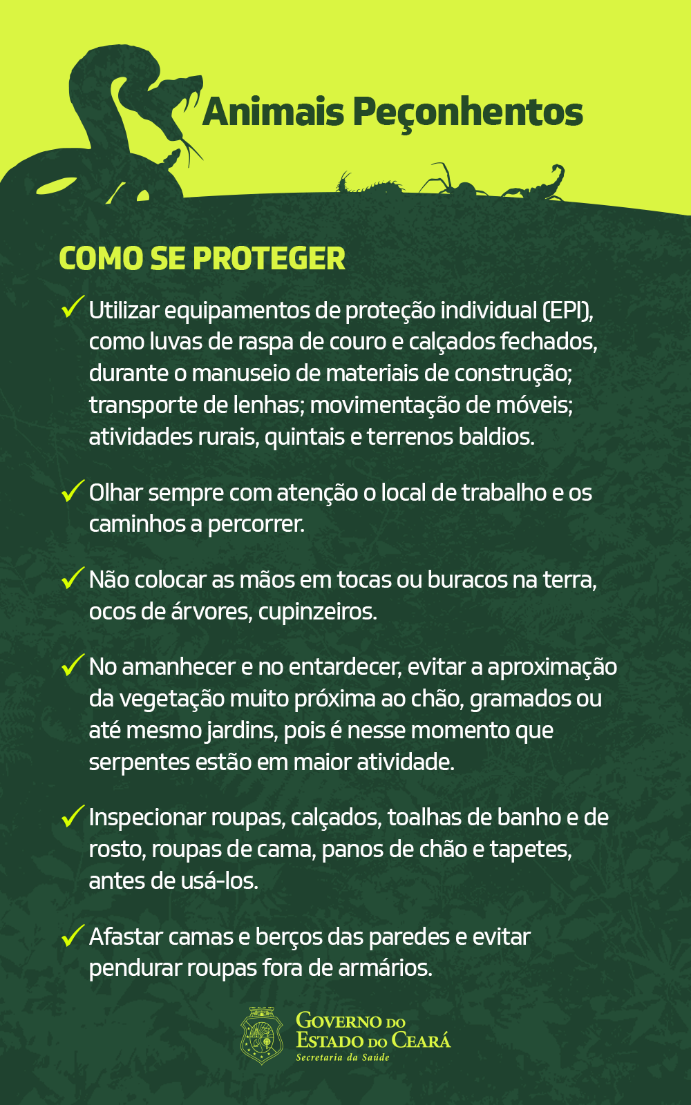 banner com dicas para se proteger de animais peçonhentos