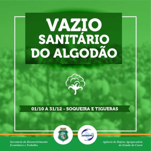 banner Vazio Sanitário do Algodão