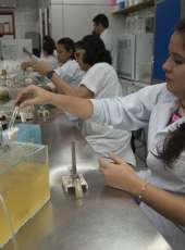 Cientista Chefe leva a ciência para gestão pública