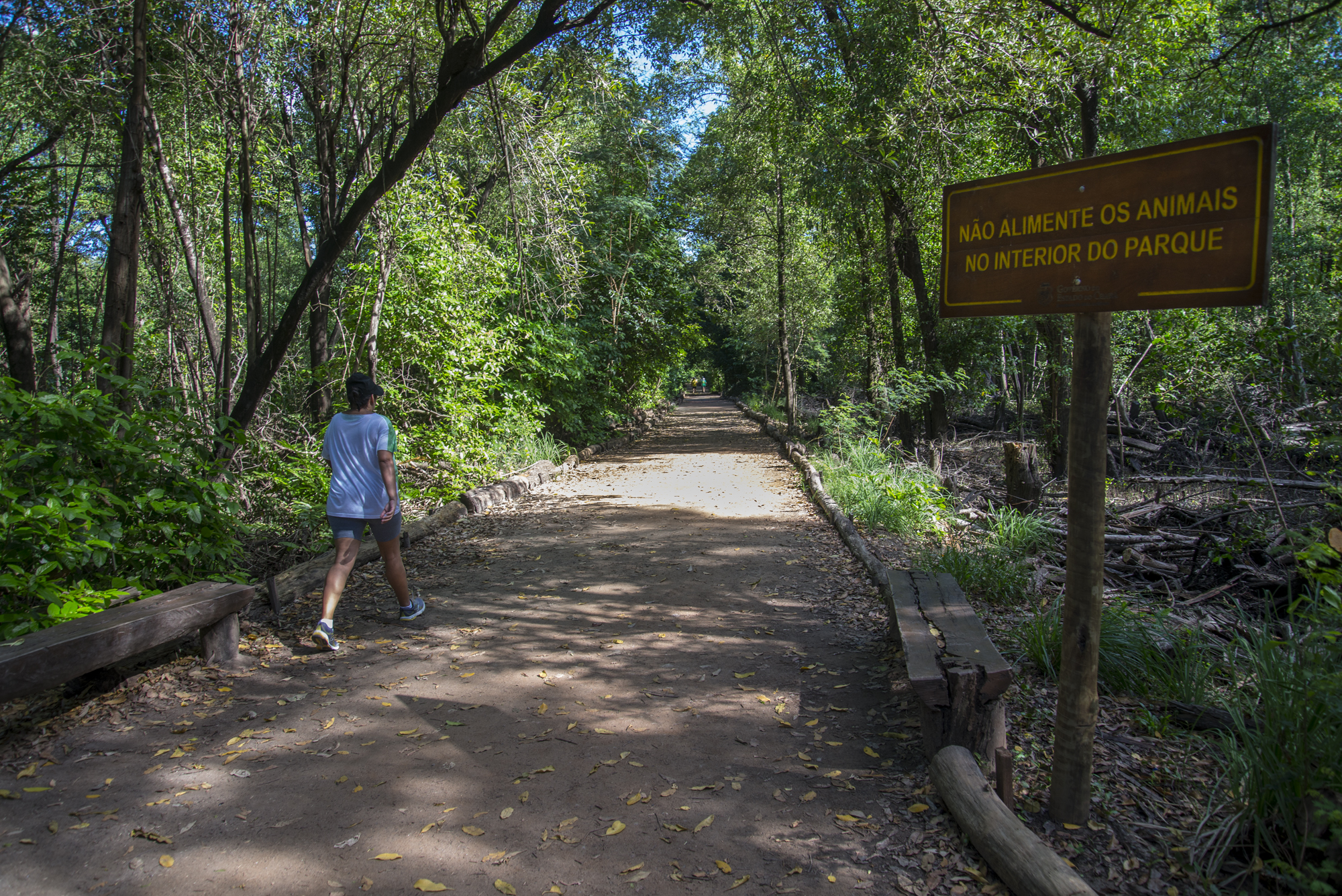 Governo do Ceará inaugura Bosque do Bom Viver no Parque do Cocó - Governo  do Estado do Ceará