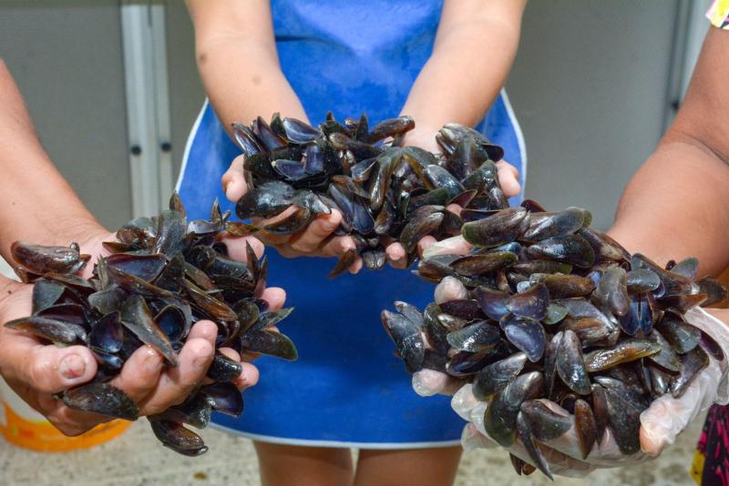 Centec Oferece Curso Para Marisqueiras E Pescadores De Camarao E Sururu Em Granja Governo Do Estado Do Ceara