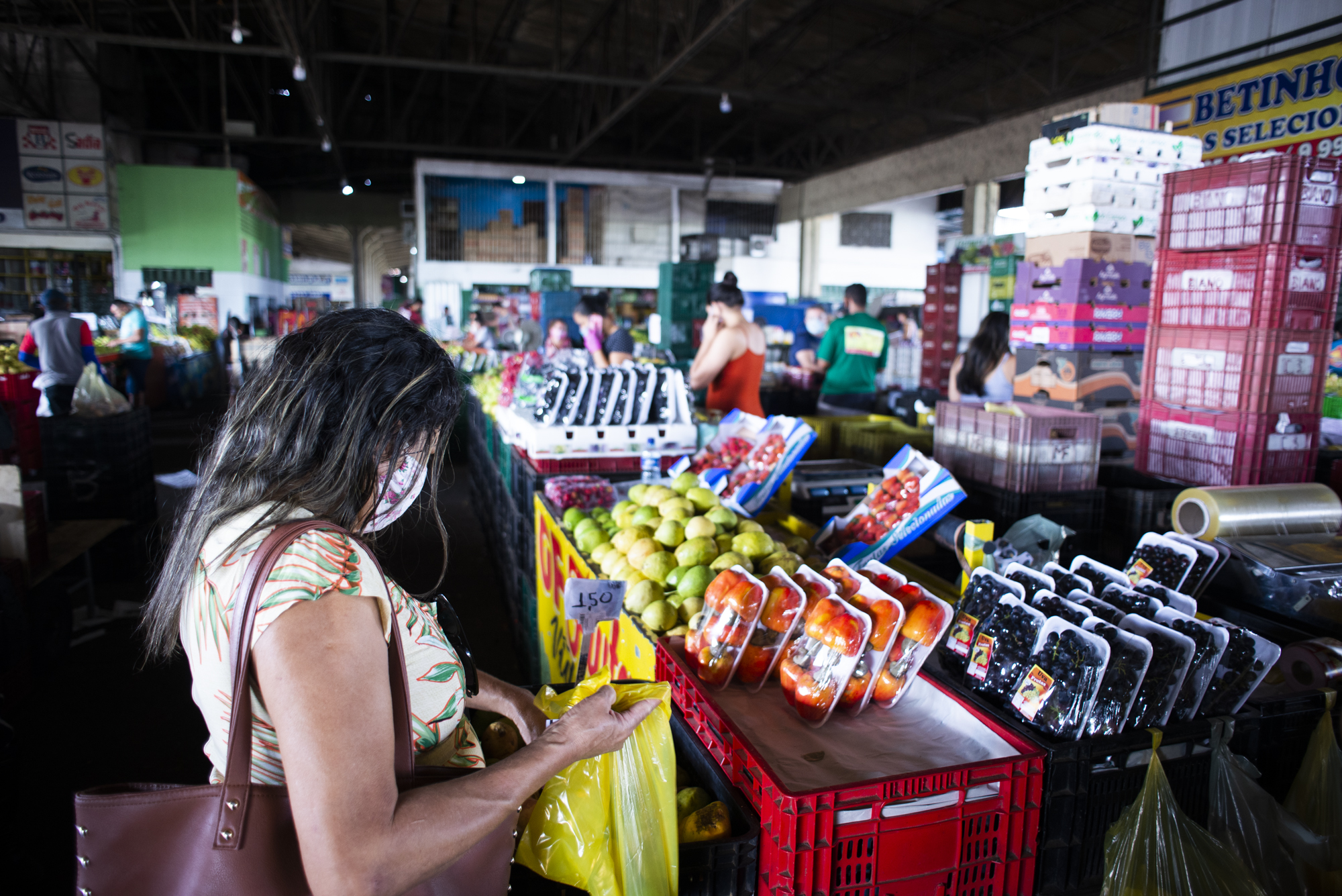 Mercado agrícola inicia semana com preço do caju em queda - Governo do  Estado do Ceará