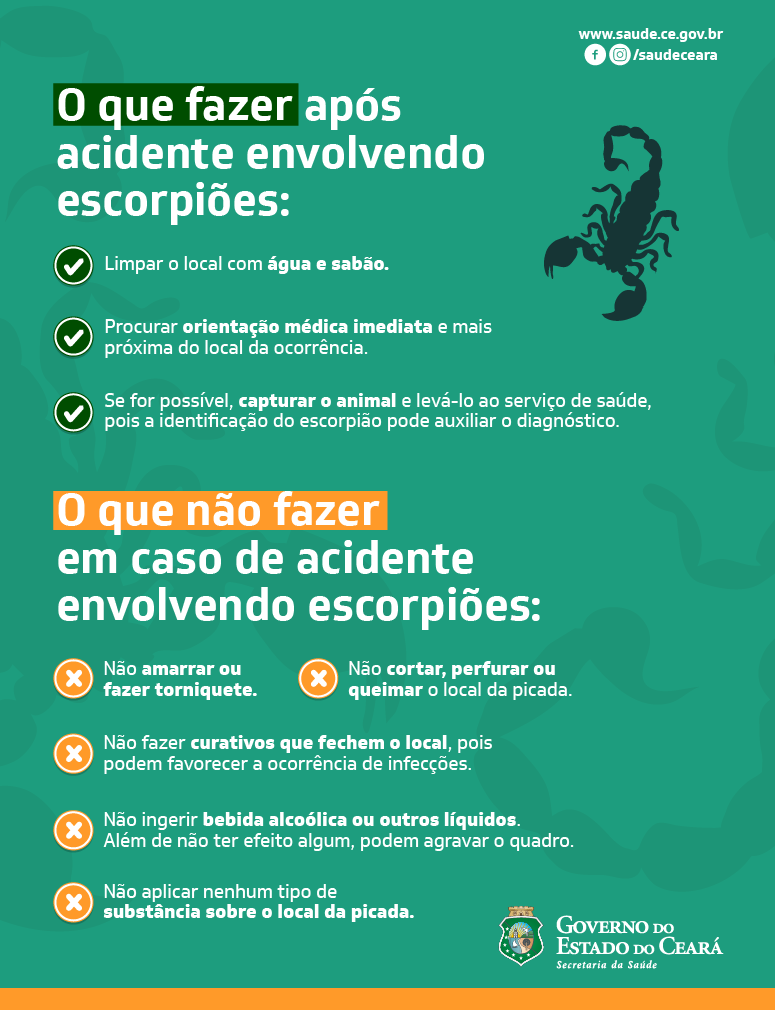 Como evitar animais peçonhentos: faça o quiz e aprenda