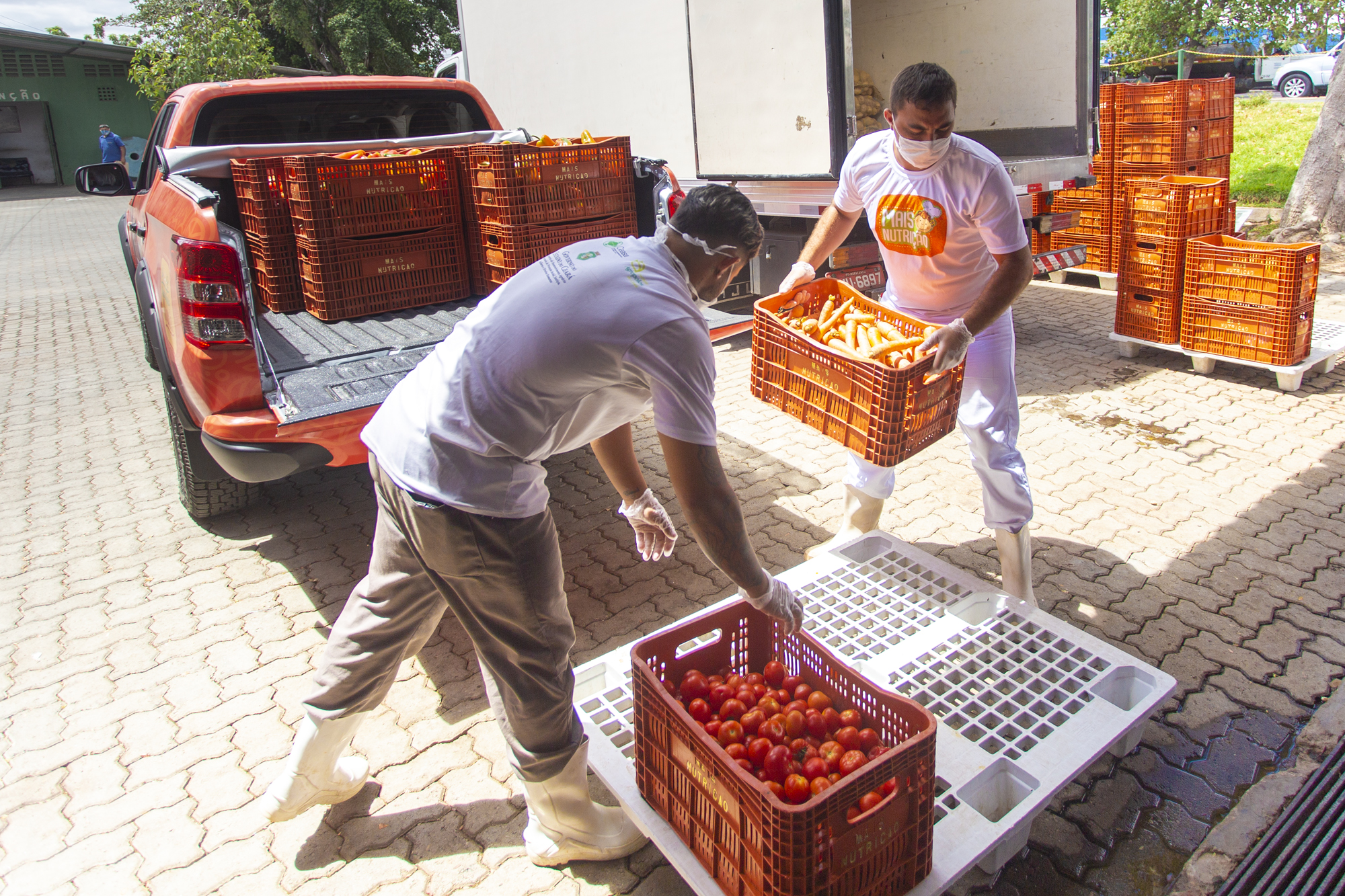 Grupo Super MiniBox arrecada 5 toneladas de alimentos em campanha “Cearense  Solidário'' - Jornal do comércio do ceará