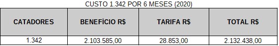 Auxílio Catador 2020 - 6 meses