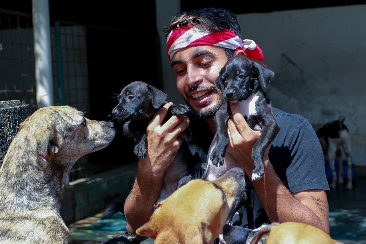 Abrigos: animais idosos, doentes e pretos ficam mais tempo