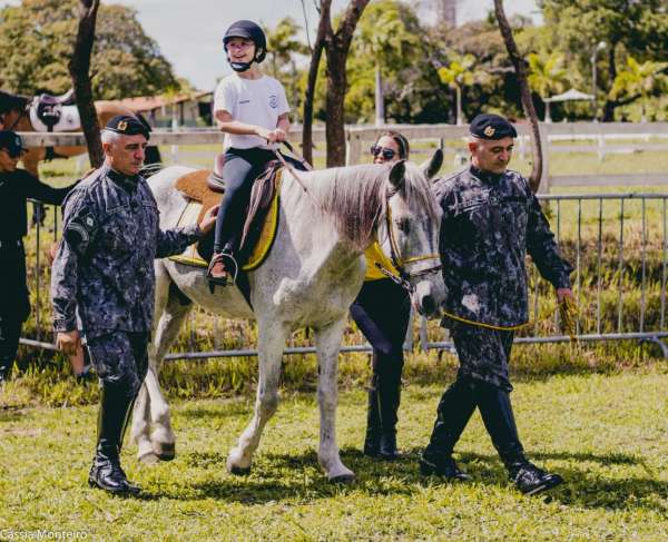 CAVALARIA  Conheça o Regimento de Polícia Montada da PMPR 