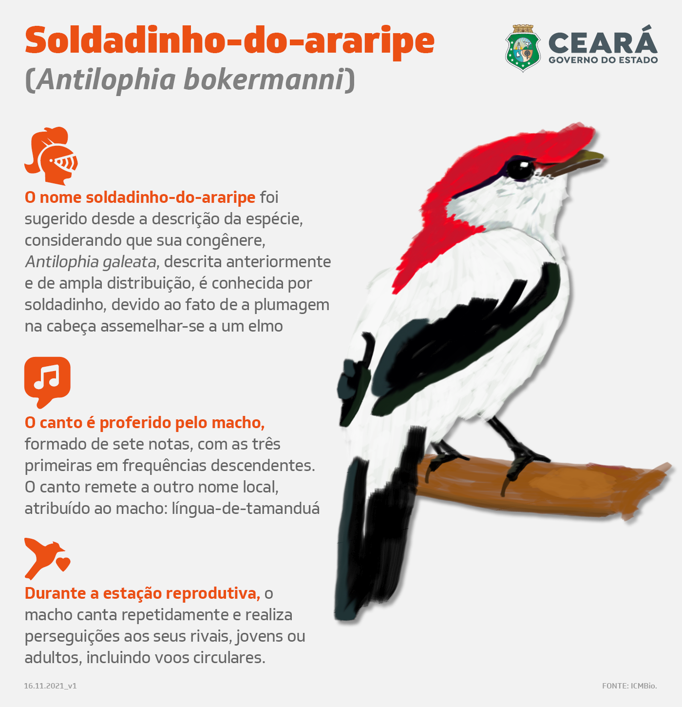 Soldadinho-do-Araripe, o guardião das nascentes