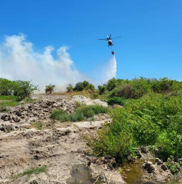 Incêndio no Parque do Cocó é debelado pelas Forças de Segurança e brigadistas florestais