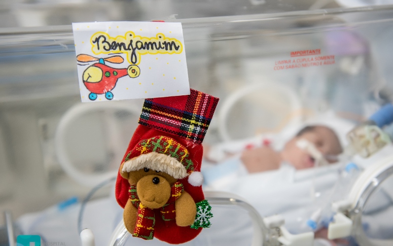 Bebês internados em maternidade escola ganham mesversários da equipe  Neonatal; veja fotos - Ceará - Diário do Nordeste