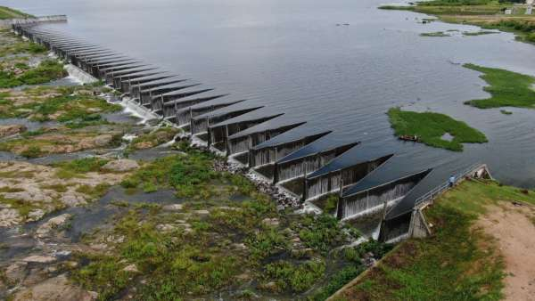 Cientista, pioneira e resiliente