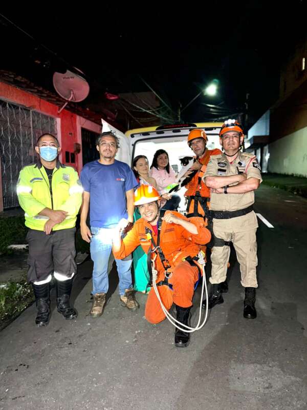 Rato 'gigante' é capturado por Bombeiros