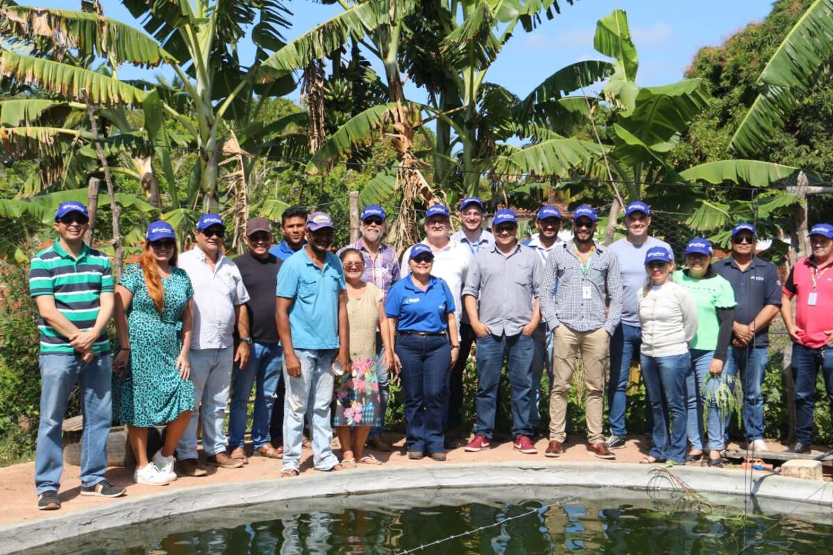 Tamanho Família, Família Ximenes abre o placar no Tamanho Família