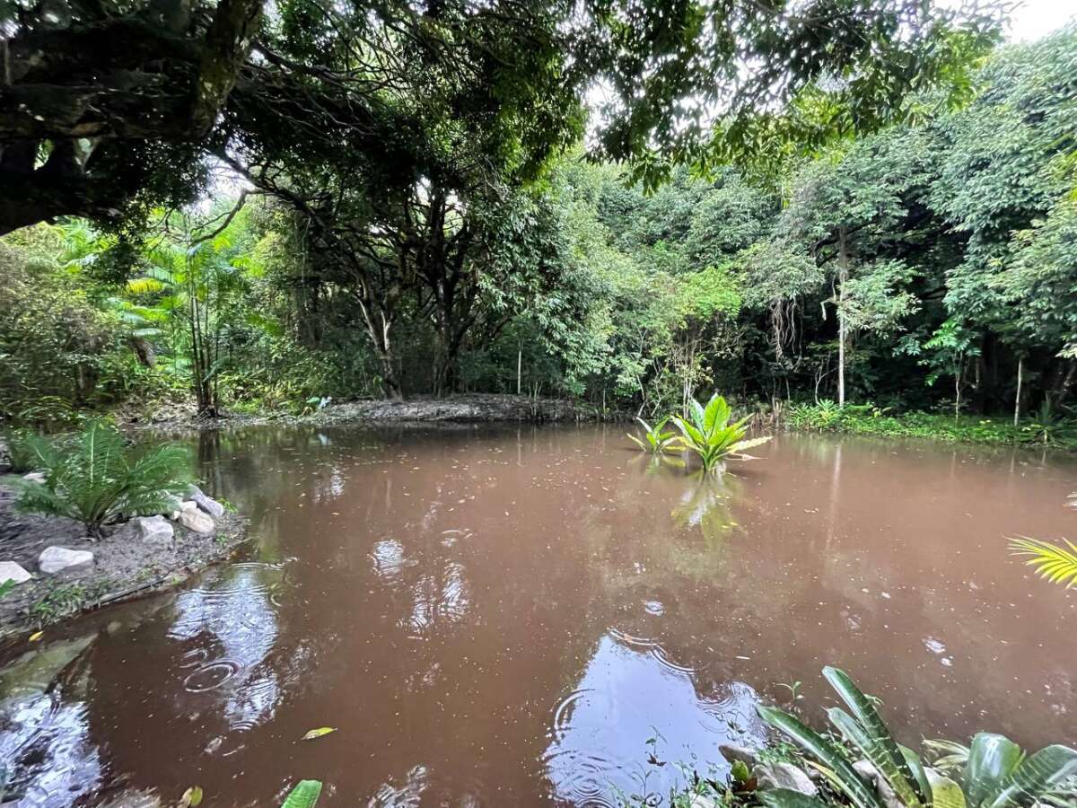 Foto: Reprodução/Secom Ceará