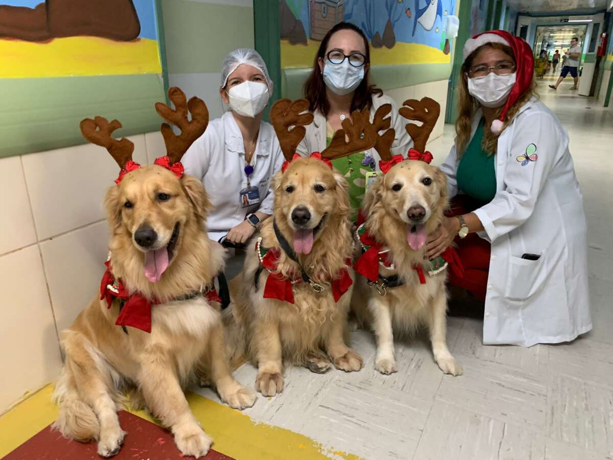 Ferramenta do Google leva animais para dentro de casa